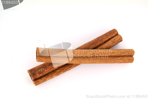 Image of Cinnamon stick on white background