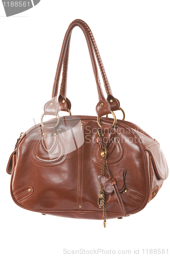 Image of Fashionable brown woman bag