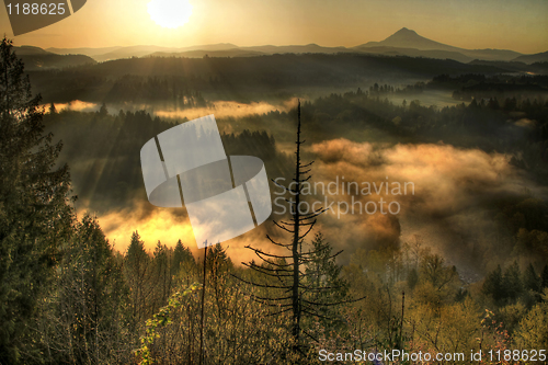 Image of Sunrise Over Mount Hood One Foggy Morning 2