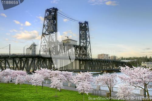 Image of Steel Bridge and Cherry Blossom Trees in Portland Oregon