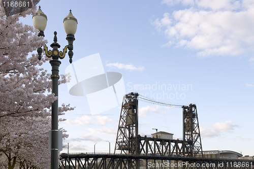 Image of Cherry Blossoms Lamp Post And Steel Bridge