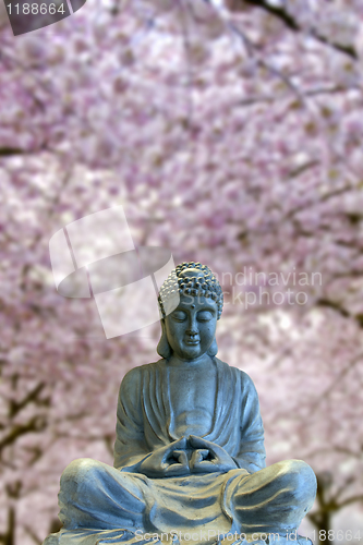 Image of Sitting Full Body Buddha with Cherry Blossom Trees