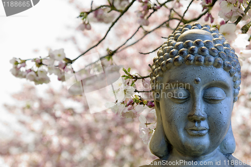 Image of Zen Buddha Meditating Under Cherry Blossom Trees