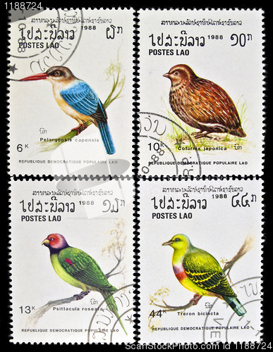 Image of Collection of birds stamps.