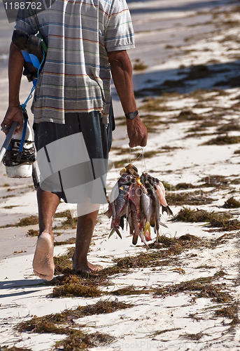 Image of Fishing for survival.