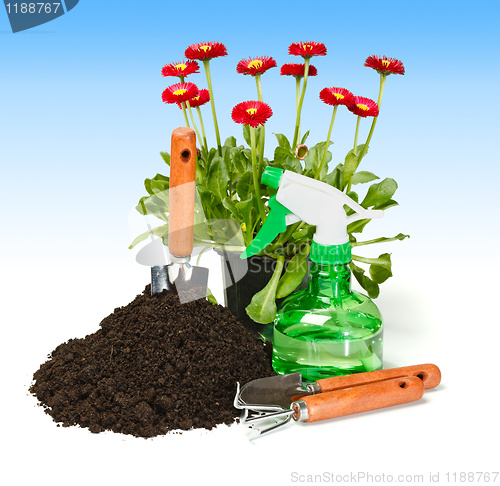 Image of Flower planting