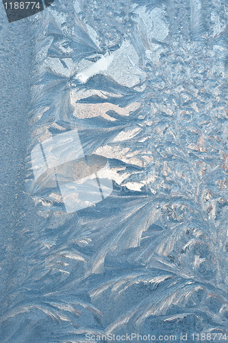 Image of Ice flower pattern on window glass