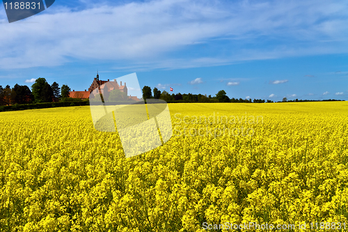 Image of Castle surrounded by canola fields