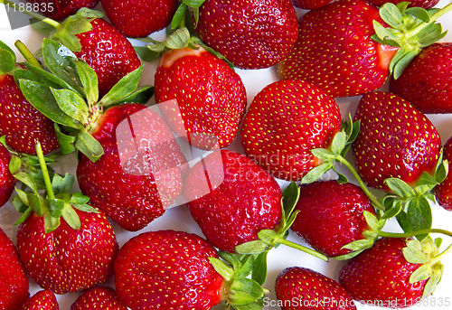 Image of Strawberries can use as background 