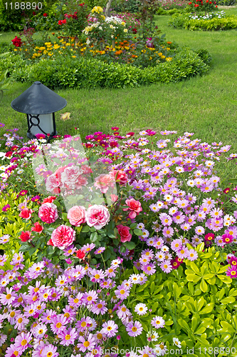 Image of Blossoming  flower beds