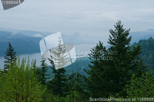 Image of Columbia Gorge