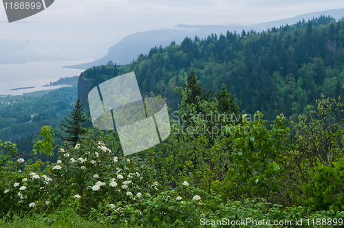 Image of Columbia Gorge