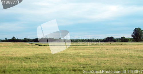 Image of Paddy field