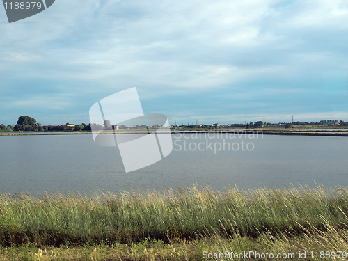 Image of Paddy field