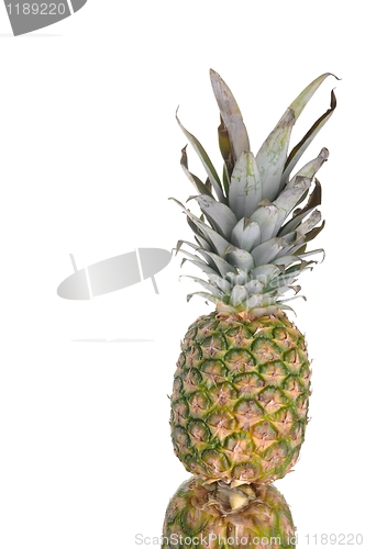 Image of Pineapple