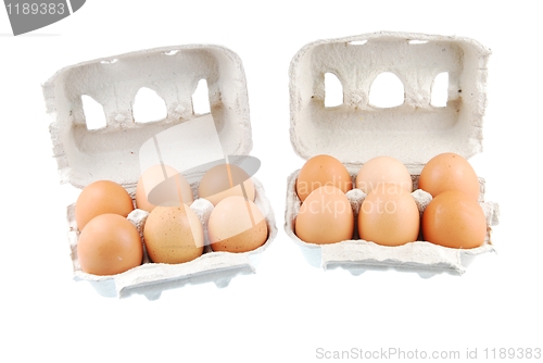 Image of Twelve brown eggs packed in carton boxs