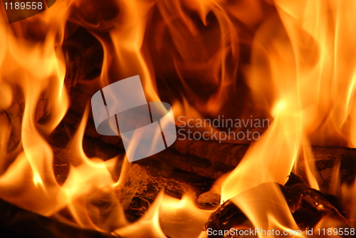 Image of Orange flames burning