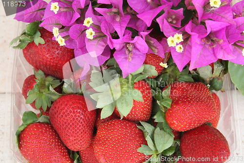 Image of Strawberry and bougainvillea