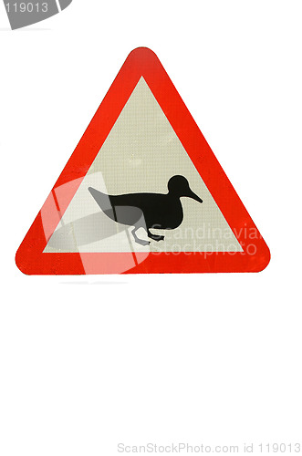 Image of Duck crossing sign