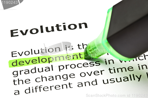 Image of 'Development' highlighted, under 'Evolution'