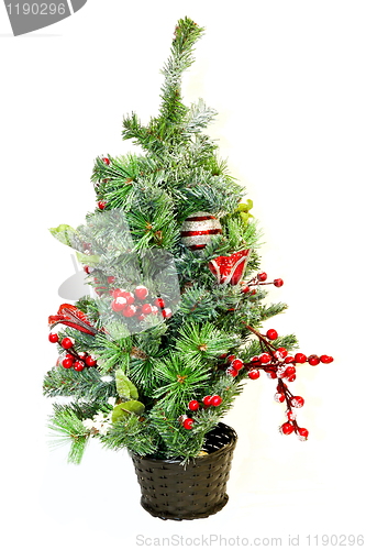 Image of Small Christmas tree