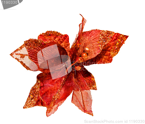 Image of Red flower