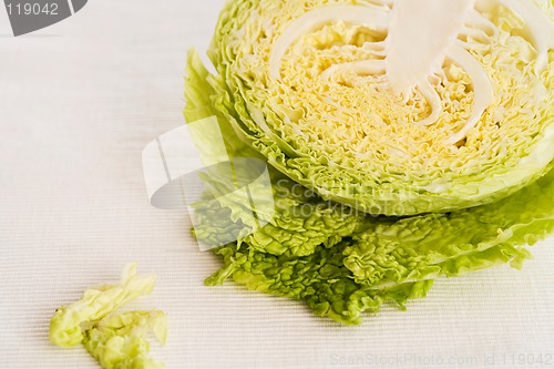 Image of cabbage