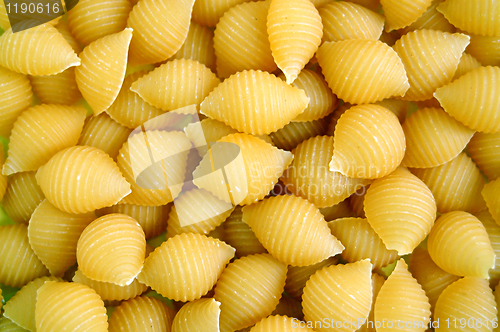 Image of shells pasta