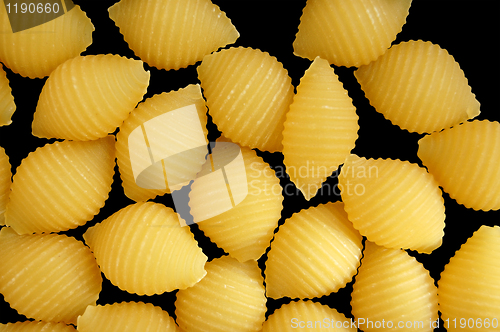 Image of pasta shells background