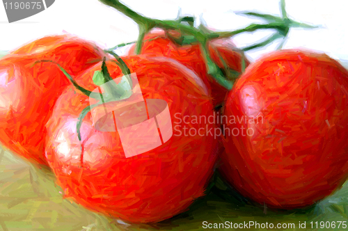 Image of fresh tomatoes illustration