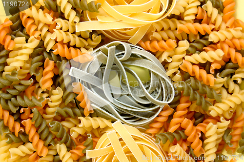 Image of fusilli and tagliatelle pasta