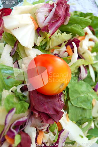 Image of fresh salad