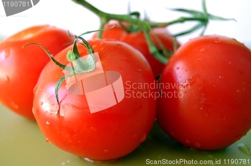 Image of fresh tomatoes