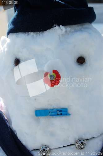 Image of snowman portrait
