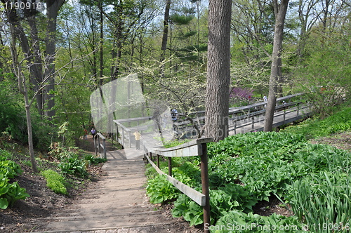 Image of Royal Botanical Gardens