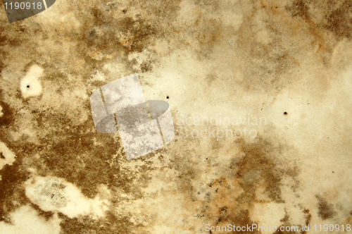 Image of mold texture