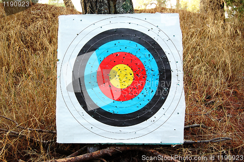 Image of colorful shooting target