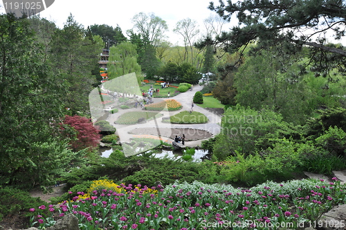Image of Royal Botanical Gardens