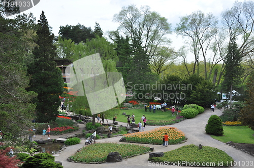 Image of Royal Botanical Garden