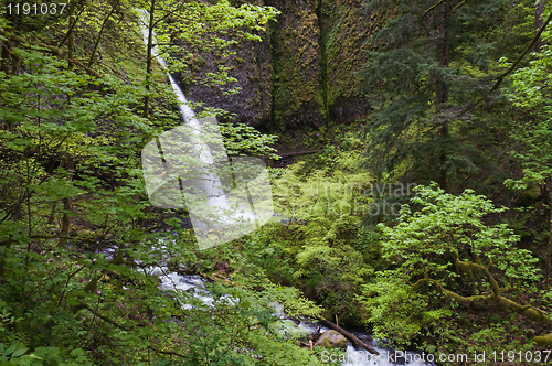 Image of Waterfall