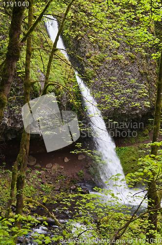 Image of Waterfall
