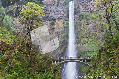 Image of Multnomah Falls