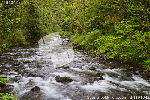 Image of Stream