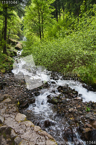 Image of Stream