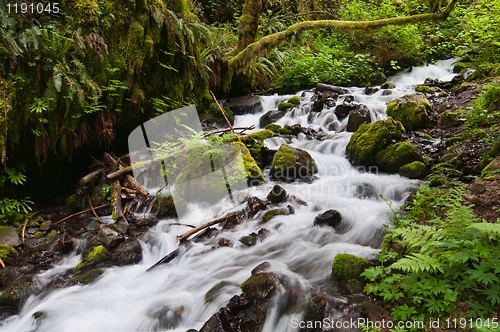 Image of Stream