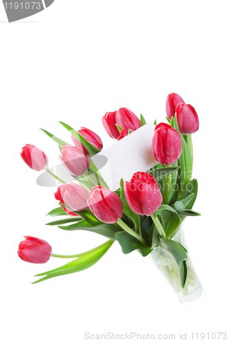 Image of Fresh Tulips in a Vase