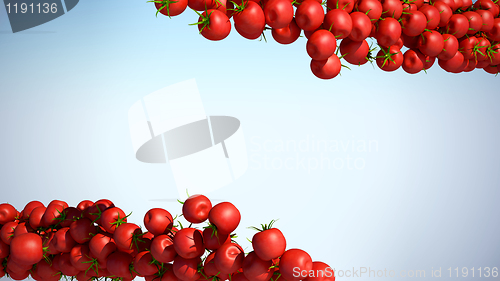 Image of Two Tomatoe Cherry flows with space for text