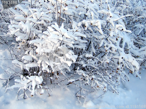 Image of snow cover