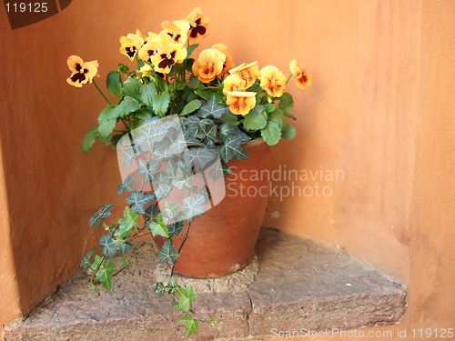 Image of Yellow pansies in a flower pot