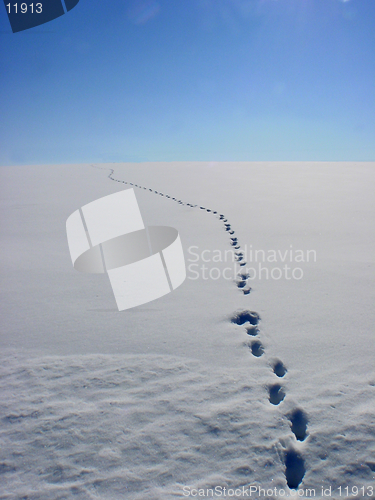 Image of Winter Footsteps